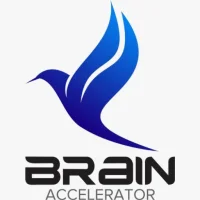 Brain Accelerator